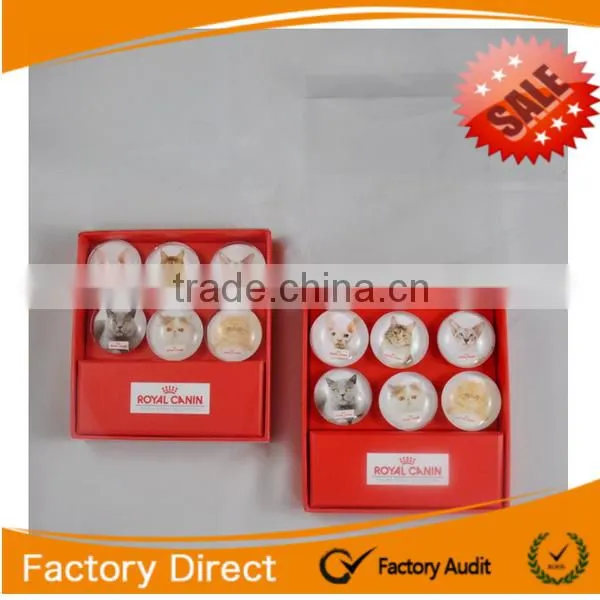 Customized Crystal Glass Fridge Magnet for Souvenir and Promotion photo-2
