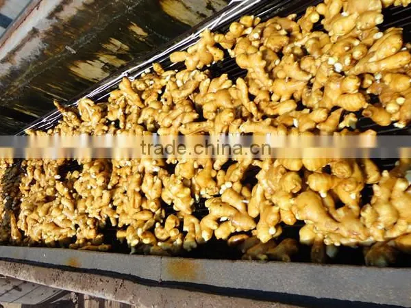 China Ginger Price photo-2
