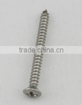 Stainless Steel Pan Head Tapping Screws With Cross Drive DIN7981 photo-3