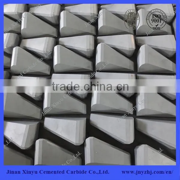 Tungsten Carbide Shield Cutter for Pilling Equipment photo-2