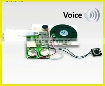 Voice Recording Module/Recordable module