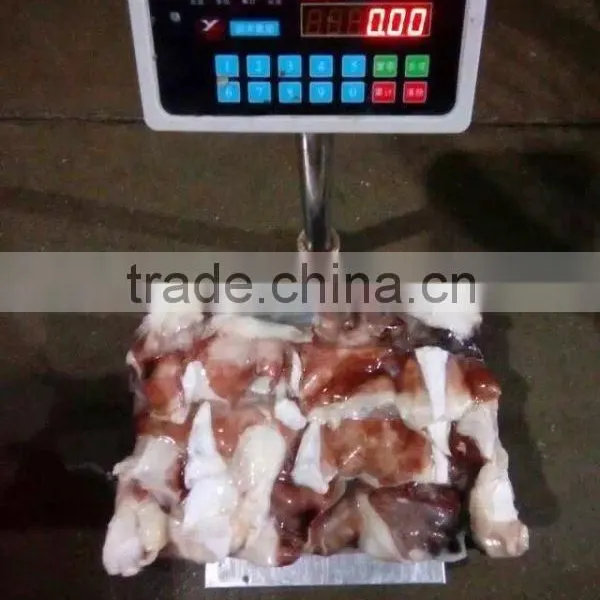 Frozen Giant Peru Squid Neck Raw Squid Necks photo-2