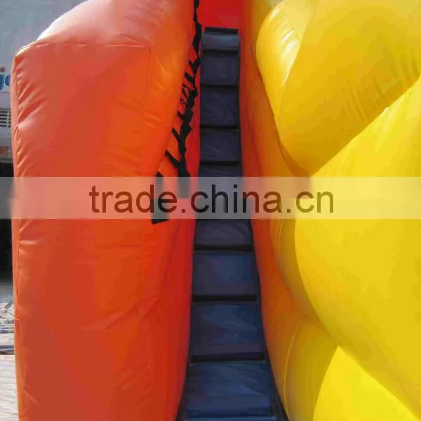 Factory Produced Giant Octopus Inflatable Double Lane Slide For Inflatable Pool photo-5