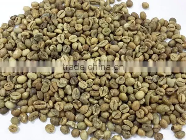 ROBUSTA COFFEE BEANS SCR 13 (skype: Davis.thong, Mobile: +84986778999) photo-2