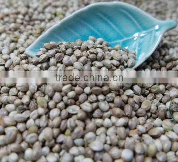Hemp Seeds 2016 Crop photo-5