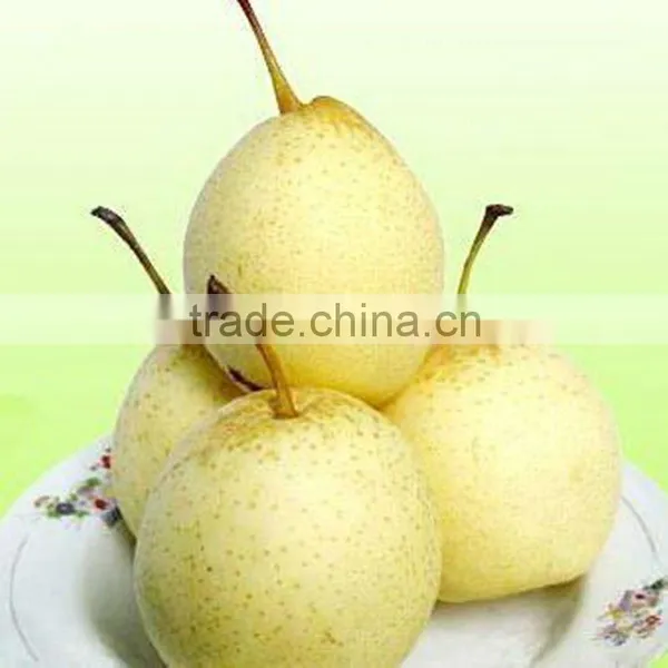 Fresh White ya Pear