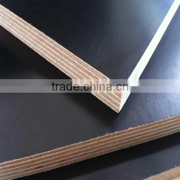 Building Plywood for Concrete Form Poplar Core photo-2