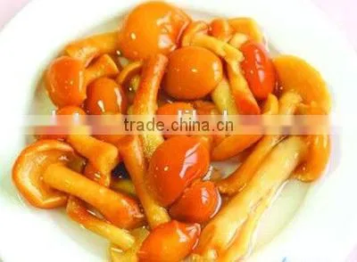 Frozen Chanterelles Best Price photo-4