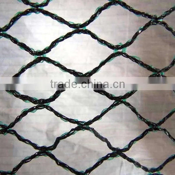 Anti Bird Net photo-5