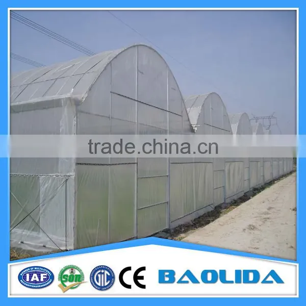 BLD Large Multi-span Plastic Film Greenhouse Commercial Use photo-3