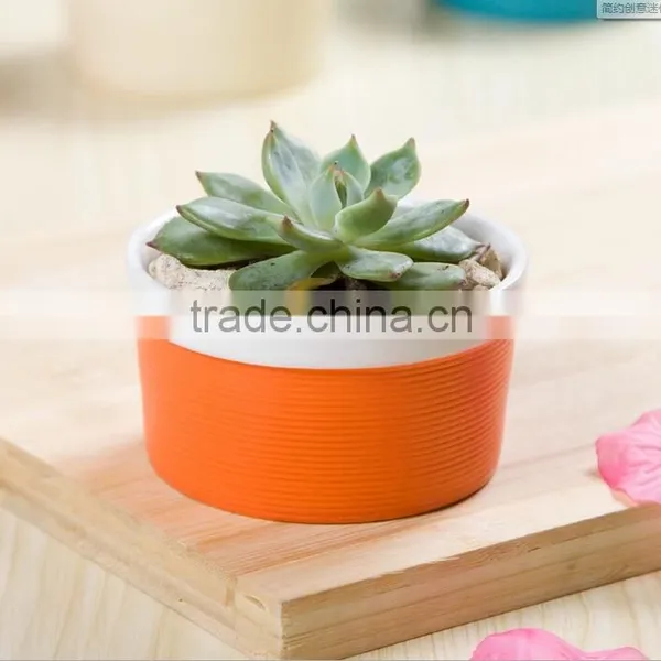 Attractive Indoor Decor Mini Bright Color Ceramic Planter photo-3