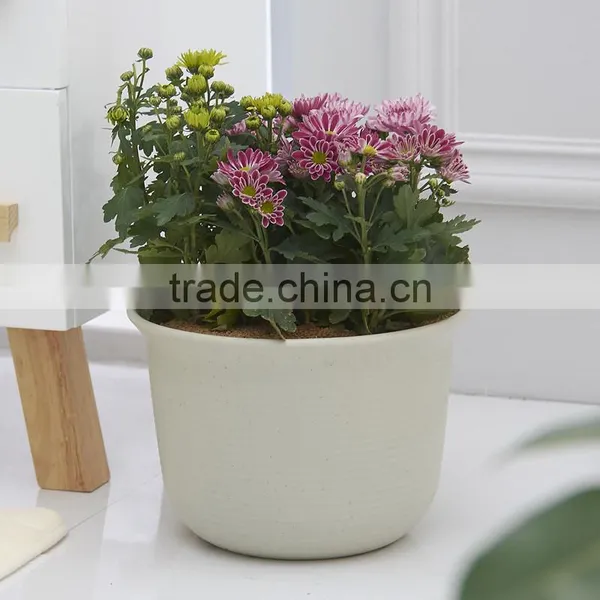 Plastic Round Succulent Plant Pot/Cactus Plant Pot Flower Container photo-6