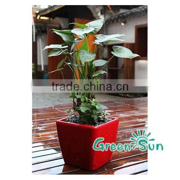Plastic Flower Pots photo-2