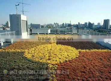 SOL 2015 pp Material Roof Pot Green Roof Container for Decoration photo-5