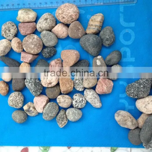 Mixed Color Flat Pebble River Stone, Natural Pebble Stone photo-2