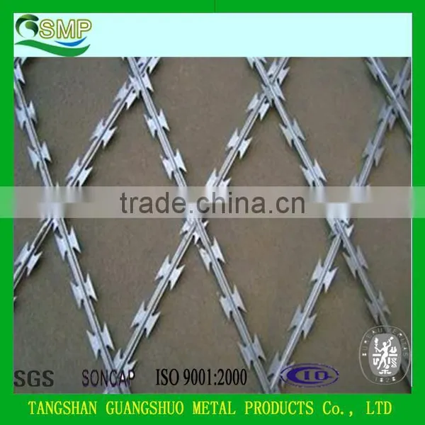 Umbrella Head Roofing Nails, Hot Sale Galvanized Roofing Nails photo-6