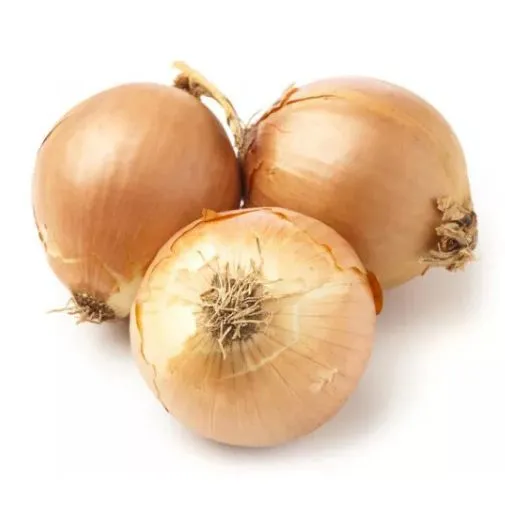 Fresh Yellow Onion in 25kg/Mesh Bag photo-2