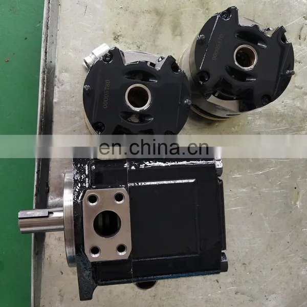 Single Double High Quality Vane Pump T6C T6D T6E T7DS T7BS Denison Parker Hydraulic Pump photo-4