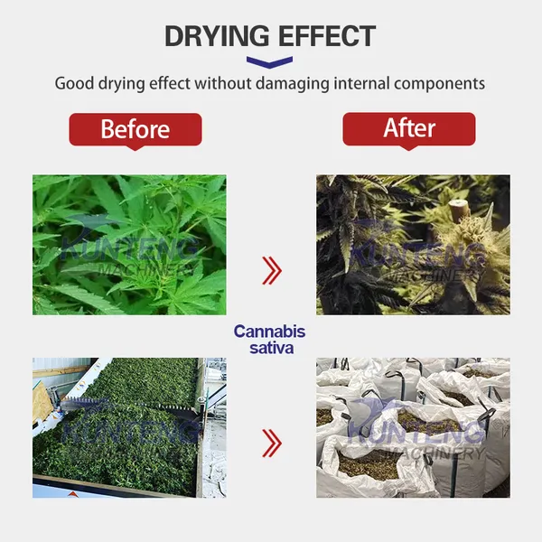 Continuous Hemp Leaves Flower Dryer Drying Machine Equipment EPC photo-5