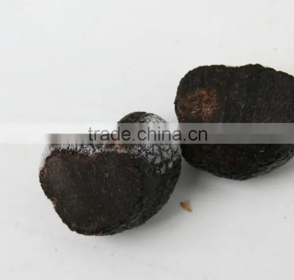Fully Mature Fresh Wild Black Truffle Mushroom photo-3