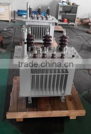 11kv 33kv Three Phase Oil Immersed Distribution Transformer Quality Choice photo-4