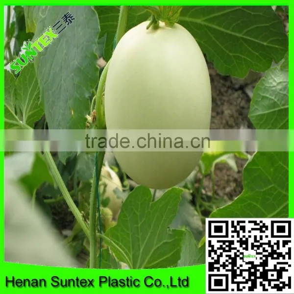 SUPER Wire Mesh Back Support for Growing Plants Climbing Plant Support Mesh photo-6