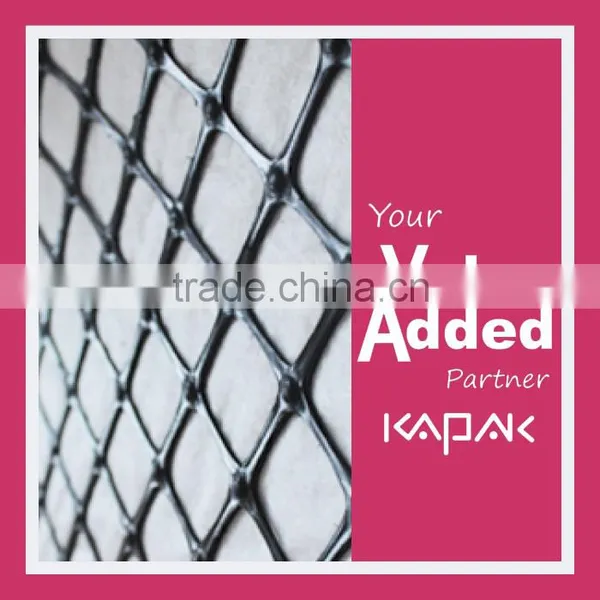 Plastic Polypropylene Biaxial PP Geogrid photo-2