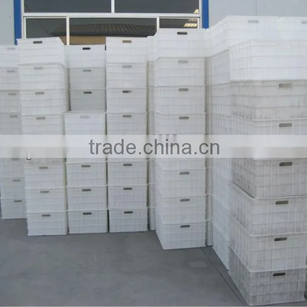 Hot Sale Automatic Bean Sprout Growing Machine, Bean Sprouting Machine,Bean Sprout Machine Price photo-2
