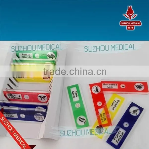 Plastic Prepared Slide Set of 12 for Children Microscope photo-4