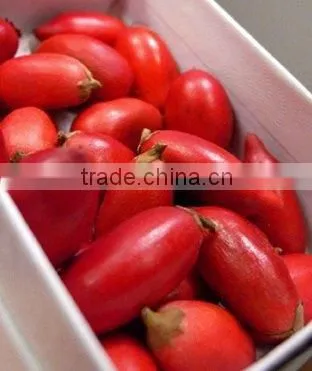 Freeze-dried Miracle Fruit Berry