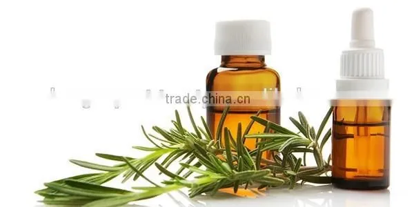 100%Pure Natural Rosemary Oil For Export Only