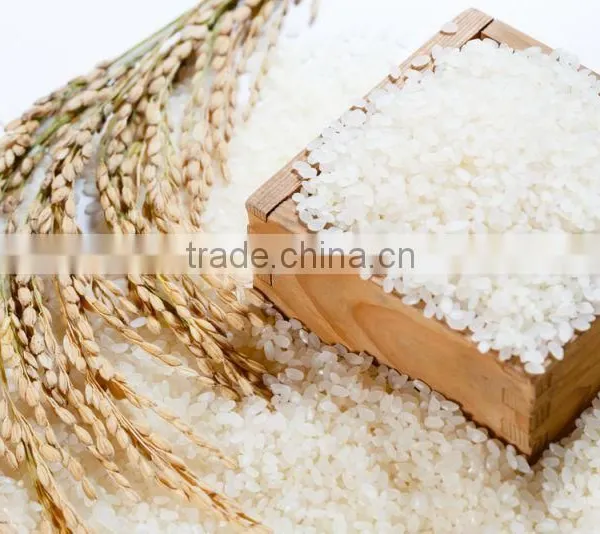Vietnamese Long Grain White Rice/Japonica Rice/Jasmin Rice(Viber/Whatsaap:+84965152844)