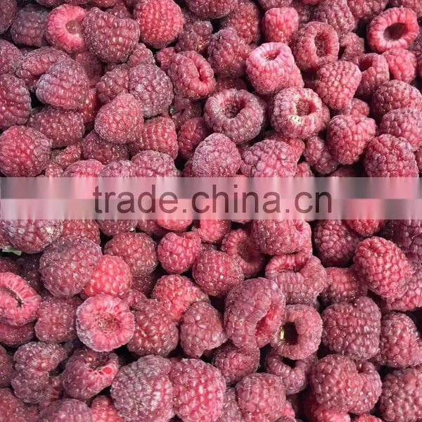 Apple Fruit Fresh photo-2