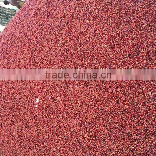Dry Chiles From India photo-2