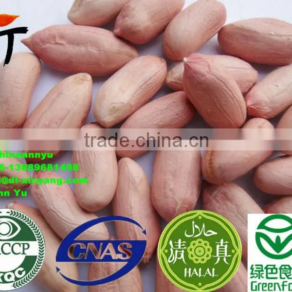 High Quality Red Skin Peanut ,peanuts photo-2