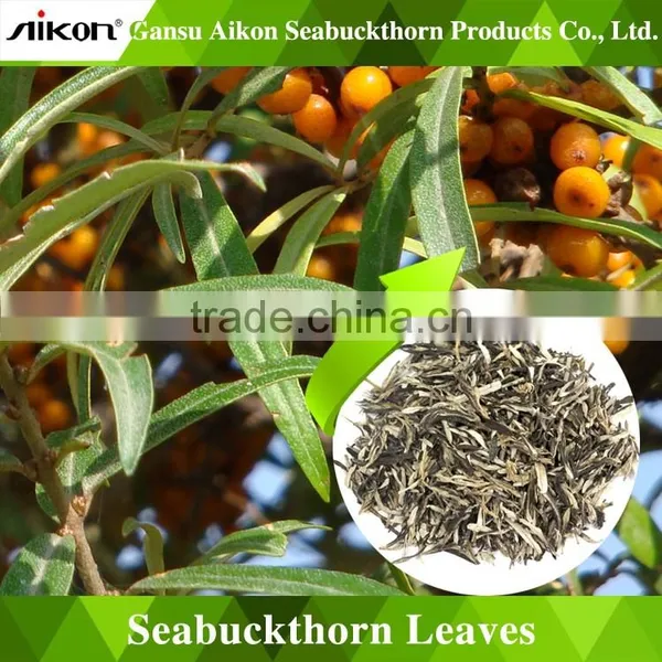 Effectively reduce the risk of heart disease Sea-buckthorn Tea