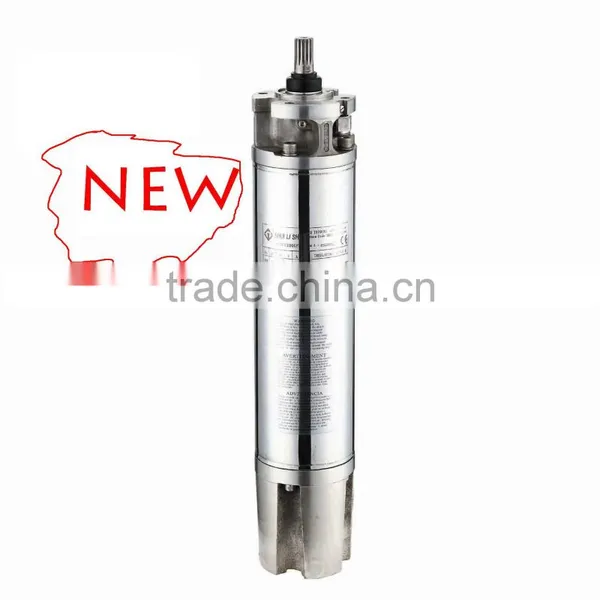 Submersible Motor