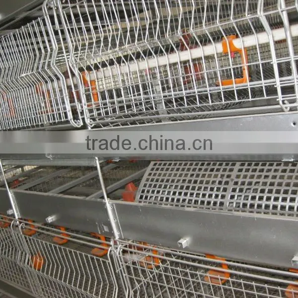 Greenhouse And Poultry Control Shed Equipment photo-4