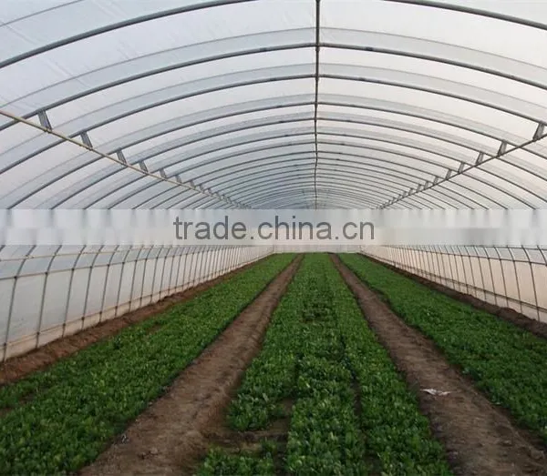 Low Price Tunnel Agriculture Greenhouse for Vegetable photo-5