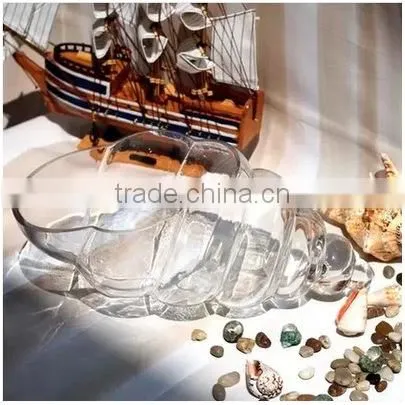 Creative Home Indoor Decoration Conch Shaped Micro Landscape Clear Hand Blown Glass Vase photo-2