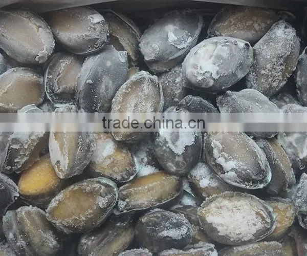 Frozen Taiwan Abalone With Shell photo-6