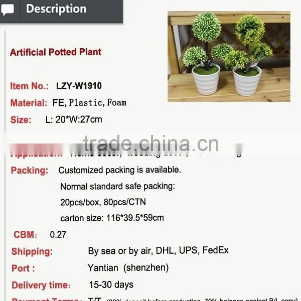 New Design Potted Plant for House Design New Product on China Market photo-2