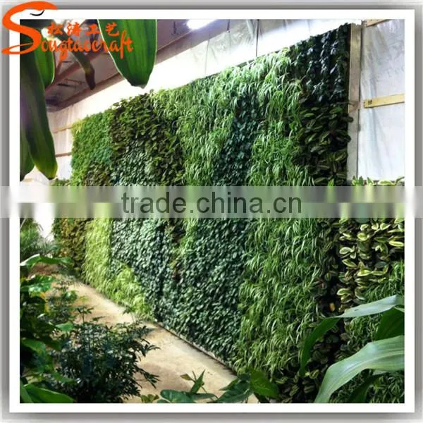 New Design Decription Vertical Mini Garden Green Wall Guangzhou Manufacturers photo-4