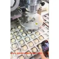Automatic Mochi Ice Cream Filling Machine