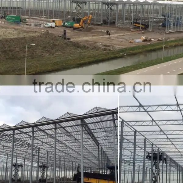 Agricultural Commercial Greenhouse photo-3