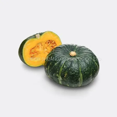 Wholesale Delicious Sweet Pumpkin Seeds for Growing photo-3