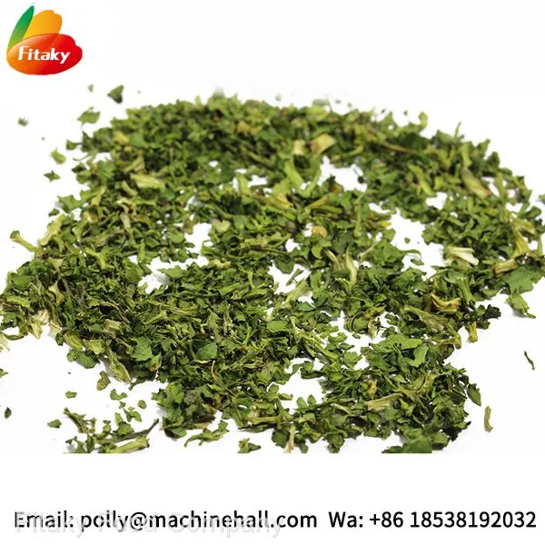 Food Grade Dried Coriander Leaves Supplier photo-3
