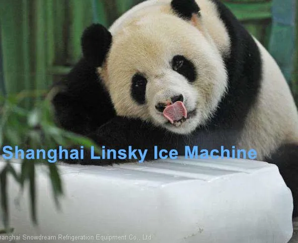 Automatic 10Ton/24hr Block Ice Machine photo-2