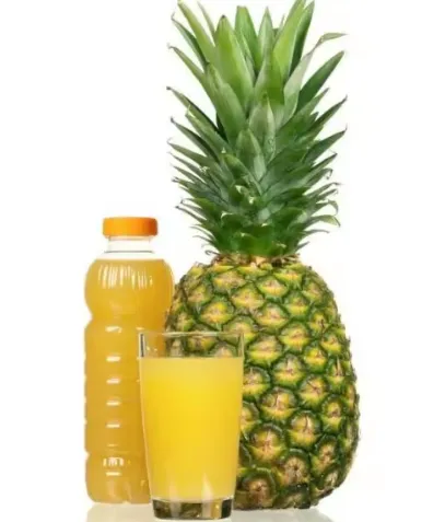 NFC Concentrated Pineapple Juice Processing Machine Production Line photo-2