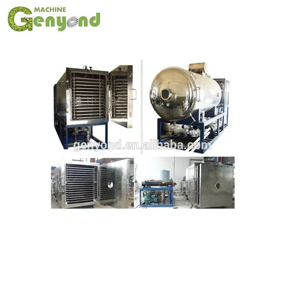 Vacuum Food Freeze Drying Machine for Fruit Chips photo-2